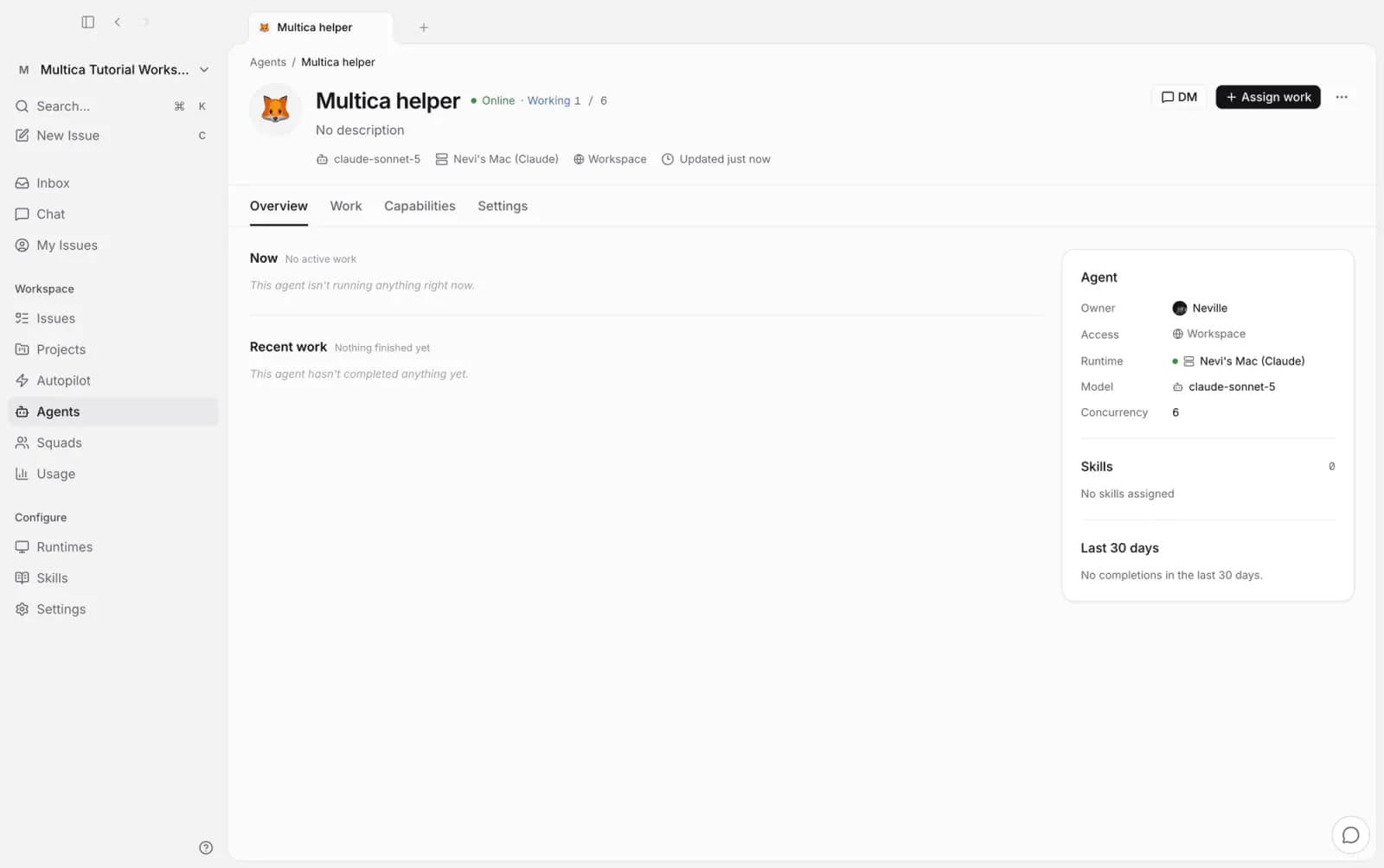 Agent detail: Multica helper online